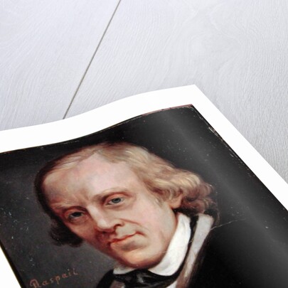 Francois Vincent Raspail 1849 by Denis Bonnet