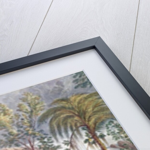 Itamaraty Waterfall in the Serra da Estrela by William Gore Ouseley