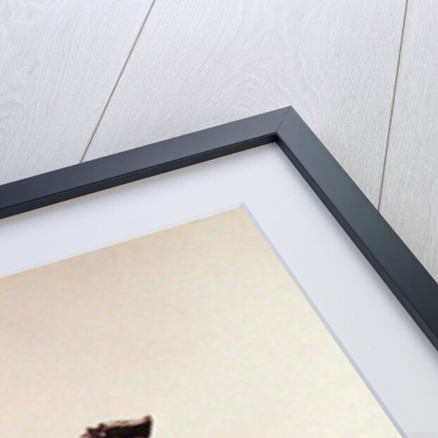 Deputy Sergeant and Archer of the Mounted Police Force of l'Ile de France, c.1750 by P. Benigni