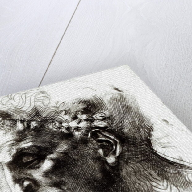 Head of a Satyr by Michelangelo Buonarroti