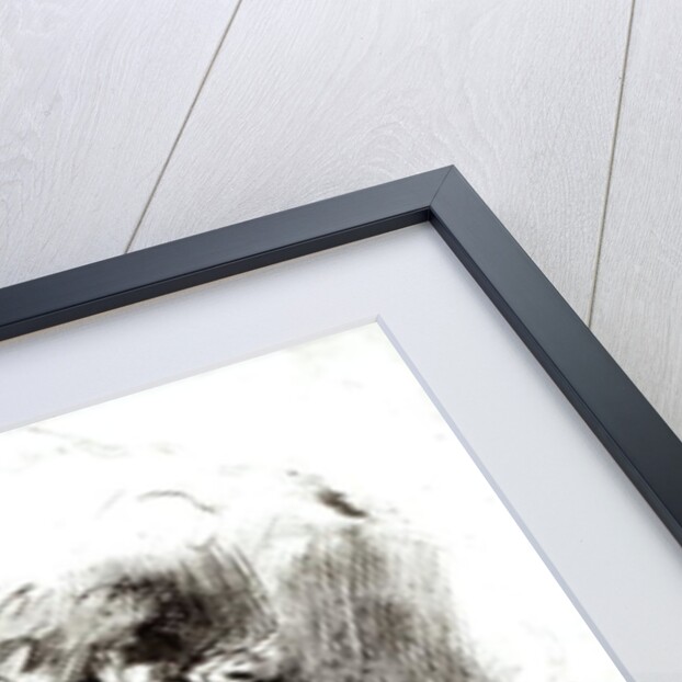 Head of a Satyr by Michelangelo Buonarroti