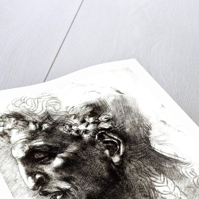 Head of a Satyr by Michelangelo Buonarroti