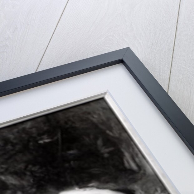 Sleeping Nymph by Theodore Chasseriau