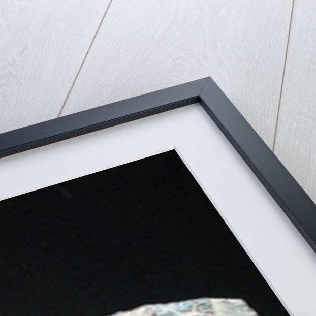 Detail of a relief frieze depicting a seated Buddha with orants, Greco-Buddhist style, from Taxila, Pakistan, 1st-4th century by School Pakistani