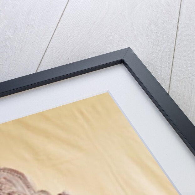 Durga, from Southern India by Indian School