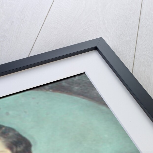 Pedro II Emperor of Brazil by Luis de Miranda Pereira Visconde de Menezes