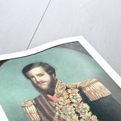 Pedro II Emperor of Brazil by Luis de Miranda Pereira Visconde de Menezes