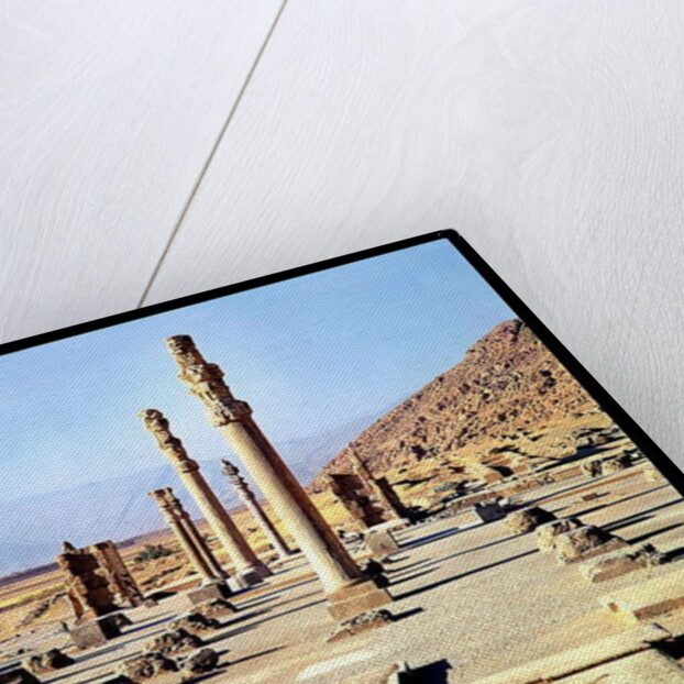 General view of the Apadana founded c.518 BC by Achaemenid