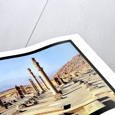 General view of the Apadana founded c.518 BC by Achaemenid