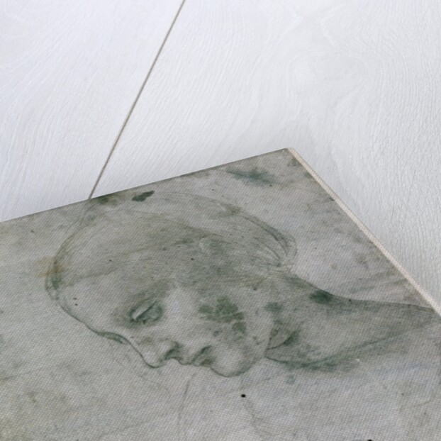 Head of a Young Woman or Head of the Virgin, c.1490 by Leonardo da Vinci