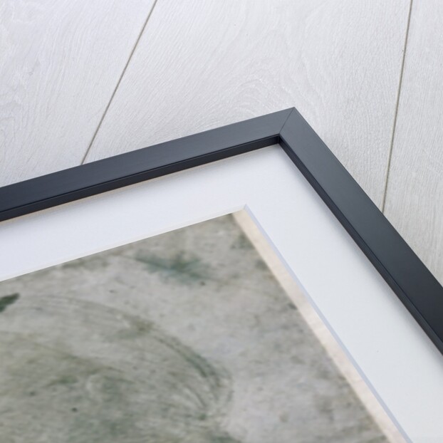 Head of a Young Woman or Head of the Virgin, c.1490 by Leonardo da Vinci