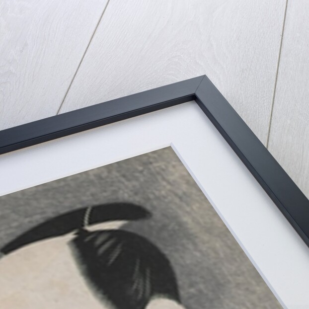 Sawamura Sojuro III in the Role of Ogishi Kurando in the play 'Hana Ayame Bunroku Soga', 1794 by Toshusai Sharaku