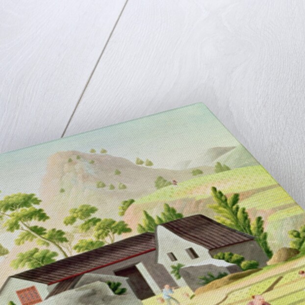 Peasants in the Paddy Fields by School Chinese