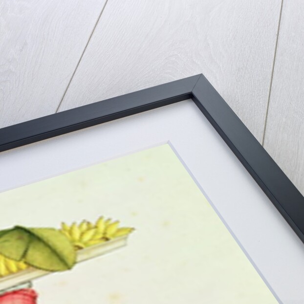 A Woman Carrying a Tray of Fruit on her Head by Carlos Juliao