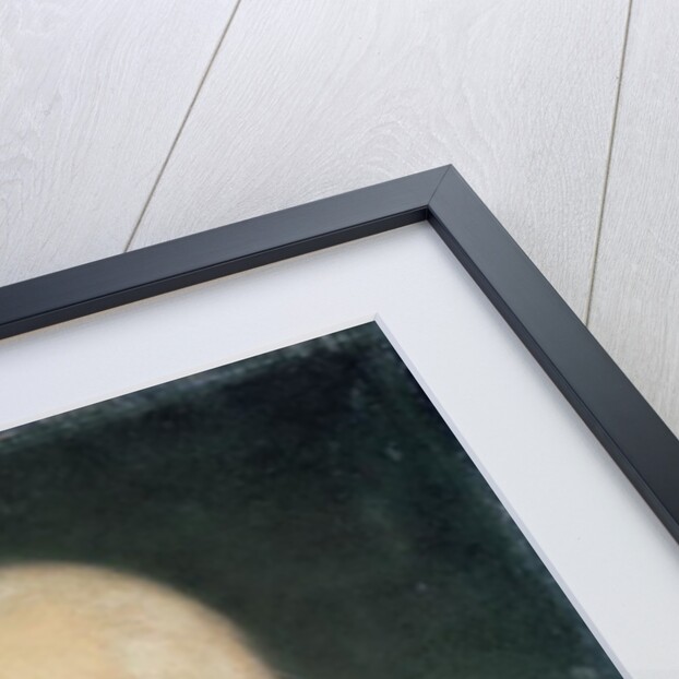 Pierre de Suffren-Saint-Tropez Vice Admiral of France, 1835 by Francois Vincent Mathieu Latil