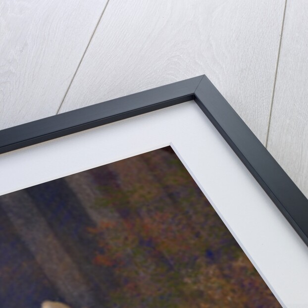 Lyricism in the Forest, 1910 by Alphonse Osbert