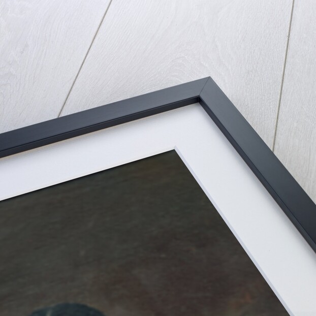 Young Woman with a Veena by Raja Ravi Varma