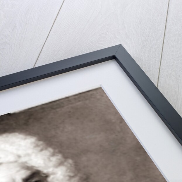 Portrait of a Man by French School