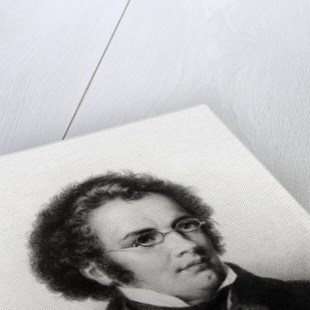Portrait of Franz Schubert engraved by H. Roemer by Carl Jaeger