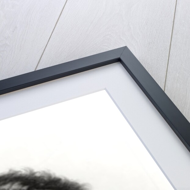 Portrait of Franz Schubert engraved by H. Roemer by Carl Jaeger