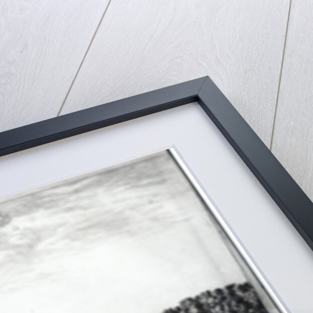 Perspective View of the garden facade of the Chateau of Vaux-le-Vicomte by Israel the Younger Silvestre