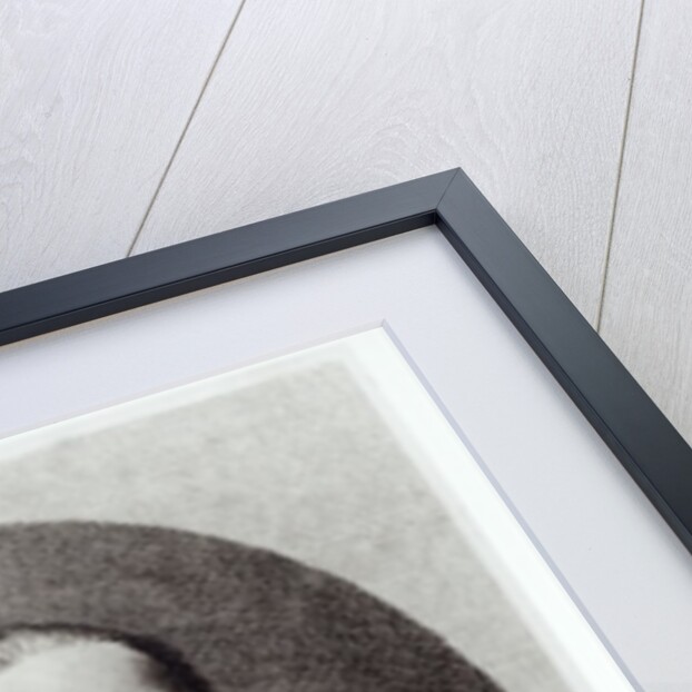 Portrait of Bedrich Smetana by French School