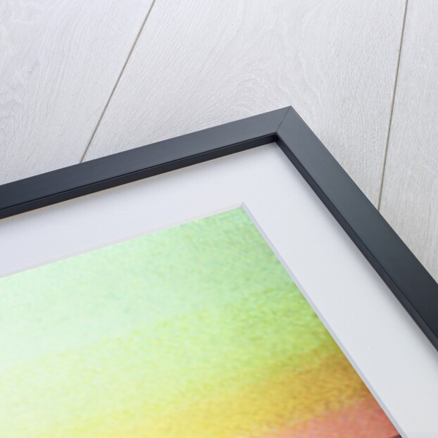 The Pointe de la Galere, 1891-92 by Henri-Edmond Cross