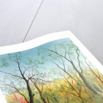 The Walk in the Forest, 1886-90 by Henri J.F. Rousseau