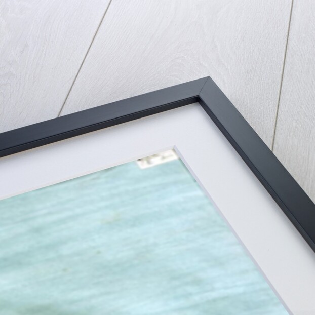 The Heroine of Milhier by Lesueur Brothers