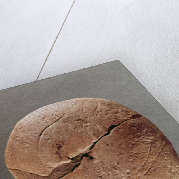 Lamp decorated with an ibex by Prehistoric Prehistoric