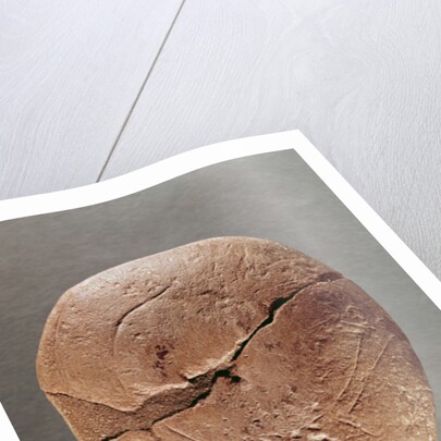 Lamp decorated with an ibex by Prehistoric Prehistoric