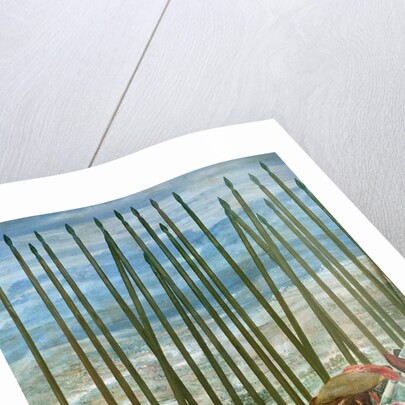 The Surrender of Breda, 1625 by Diego Rodriguez de Silva y Velazquez