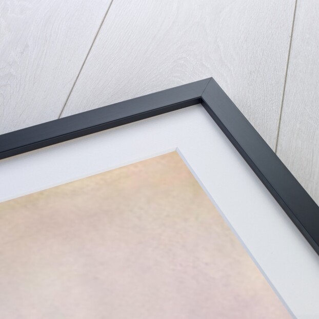 Portrait of Mary Gunning, Countess of Coventry, 1749 by Jean-Etienne Liotard