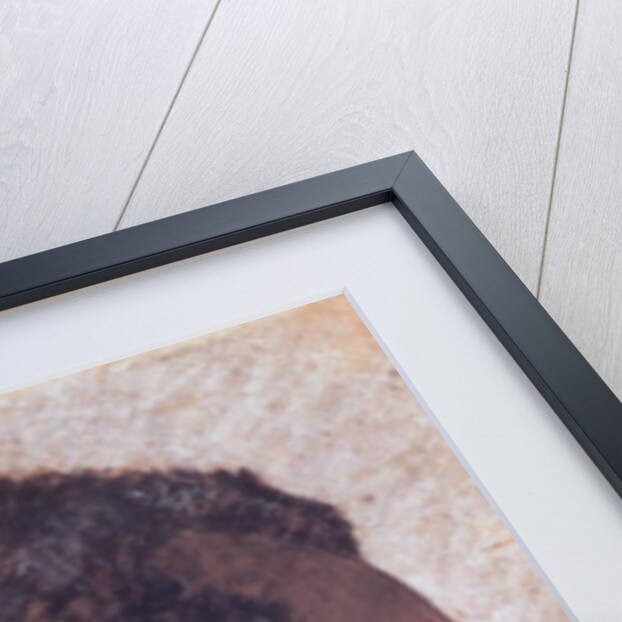 Head of a Negro by Theodore Gericault