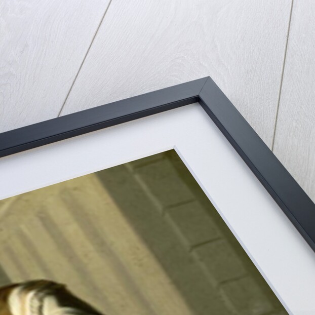 A Man from Varsino and his American Indian Wife by Mexican School