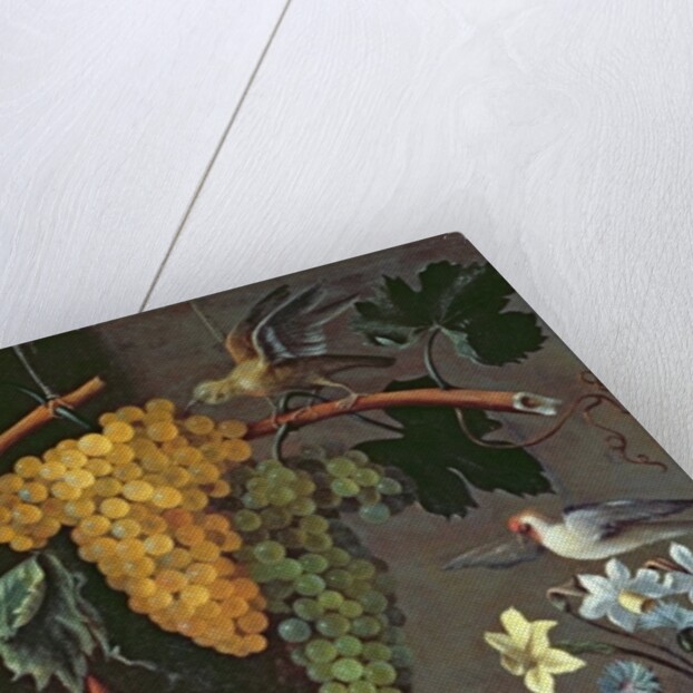 Still Life with Grapes, Birds, Flowers and Shells by Juan de Espinosa