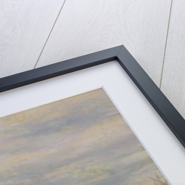 View of the Voorzaan, 1871 by Claude Monet