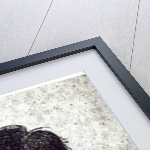 Portrait of Evariste Galois by French School