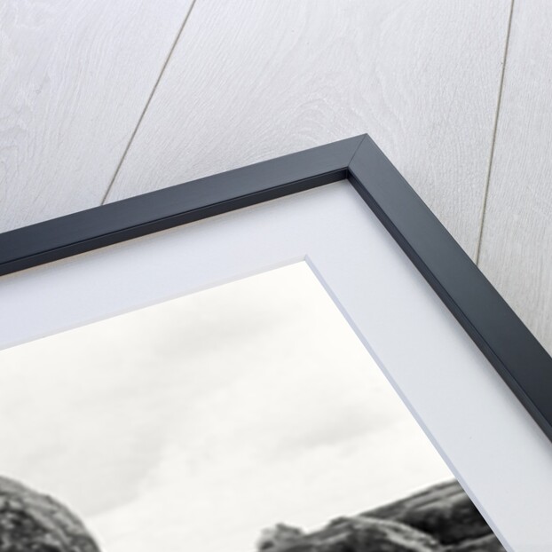 Alignment of Standing Stones, Megalithic, 4th-3rd millennium BC by Prehistoric Prehistoric