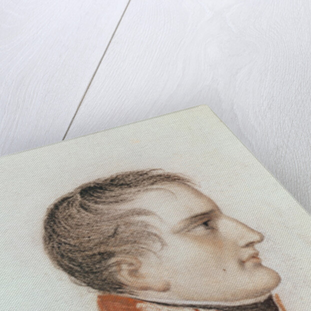 Bonaparte, First Consul, study for 'Entry of Bonaparte, First Consul, into Antwerp on 18th July 1803' 1803 by Mathieu Ignace van Bree