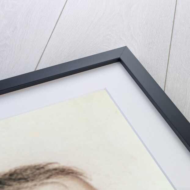 Bonaparte, First Consul, study for 'Entry of Bonaparte, First Consul, into Antwerp on 18th July 1803' 1803 by Mathieu Ignace van Bree