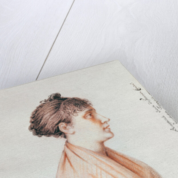 Madame Bonaparte, study for 'Entry of Bonaparte, First Consul, into Antwerp on 18th July 1803' 1803-07 by Mathieu Ignace van Bree