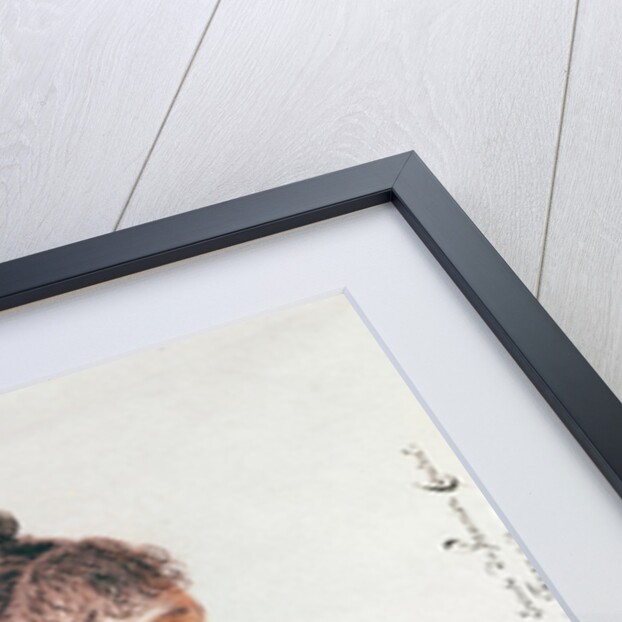 Madame Bonaparte, study for 'Entry of Bonaparte, First Consul, into Antwerp on 18th July 1803' 1803-07 by Mathieu Ignace van Bree