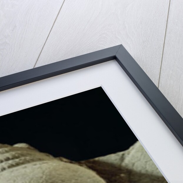 Buddha in Meditation on the Naga King, Mucilinda by Cambodian Cambodian