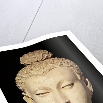 Head of a Buddha, Greco-Buddhist style, from Hadda by Afghan School