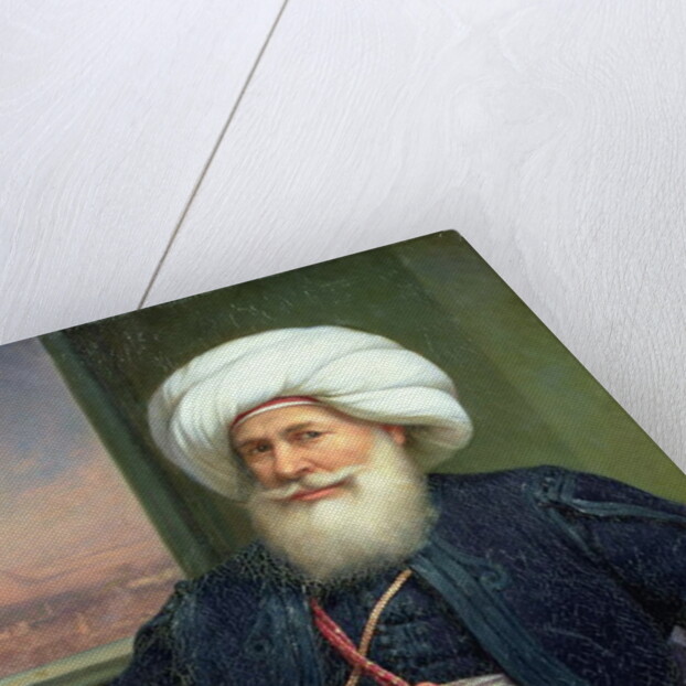 Mehemet Ali, 1840 by Louis Charles Auguste Couder
