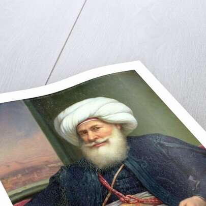 Mehemet Ali, 1840 by Louis Charles Auguste Couder