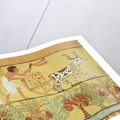 Sennedjem and his wife in the fields sowing and tilling by Egyptian 19th Dynasty