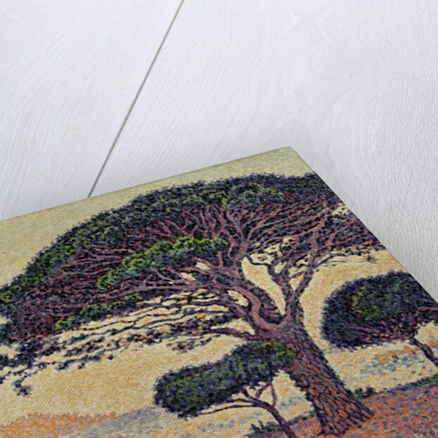 Umbrella Pines at Caroubiers, 1898 by Paul Signac