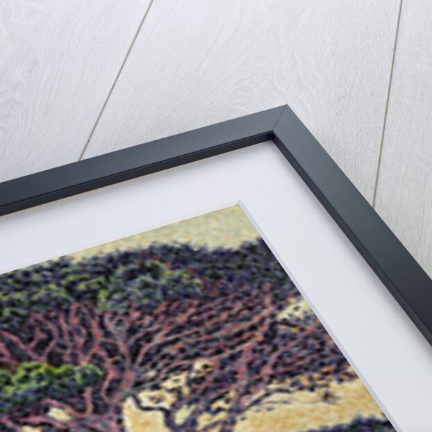 Umbrella Pines at Caroubiers, 1898 by Paul Signac